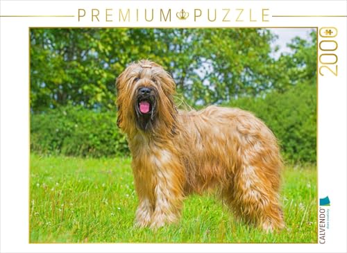 CALVENDO Puzzle Eine wahre Schönheit - Briard | 2000 Teile Lege-Größe 90 x 67 cm Foto-Puzzle für glückliche Stunden CALVENDO Puzzle Eine wahre Schönheit - Briard | 2000 Teile Lege-Größe 90 x 67 cm Foto-Puzzle für glückliche Stunden von CALVENDO