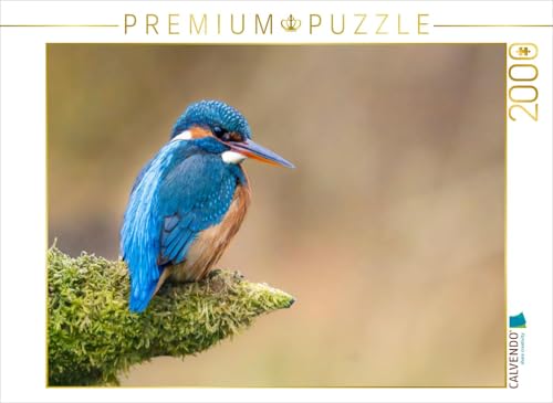 CALVENDO Puzzle Eisvogel Portrait | 2000 Teile Lege-Größe 90 x 67 cm Foto-Puzzle für glückliche Stunden von CALVENDO