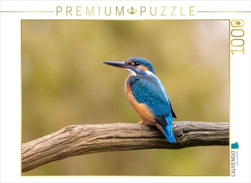 CALVENDO Puzzle Eisvogel im Antlitz auf seinem AST | 1000 Teile Lege-Größe 64 x 48 cm Foto-Puzzle für glückliche Stunden von CALVENDO