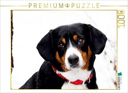 CALVENDO Puzzle Entlebucher Sennenhund 1000 Teile Puzzle quer | Lege-Größe cm Foto-Puzzle für glückliche Stunden CALVENDO Puzzle Entlebucher Sennenhund 1000 Teile Puzzle quer | Lege-Größe cm Foto-Puzzle für glückliche Stunden von CALVENDO