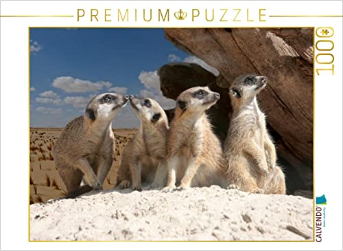 CALVENDO Puzzle Erdmännchen in der Wüste 1000 Teile Puzzle quer | 1000 Teile Lege-Größe 64 x 48 cm Foto-Puzzle für glückliche Stunden von CALVENDO