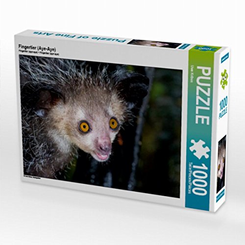 CALVENDO Puzzle Fingertier (Aye-Aye) 1000 Teile Lege-Größe 64 x 48 cm Foto-Puzzle Bild von Uwe Kribus von CALVENDO