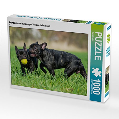 CALVENDO Puzzle Französische Bulldogge - Welpen beim Spiel 1000 Teile Puzzle quer | 1000 Teile Lege-Größe 64 x 48 cm Foto-Puzzle für glückliche Stunden CALVENDO Puzzle Französische Bulldogge - Welpen beim Spiel 1000 Teile Puzzle quer | 1000 Teile Lege-Größe 64 x 48 cm Foto-Puzzle für glückliche Stunden von CALVENDO