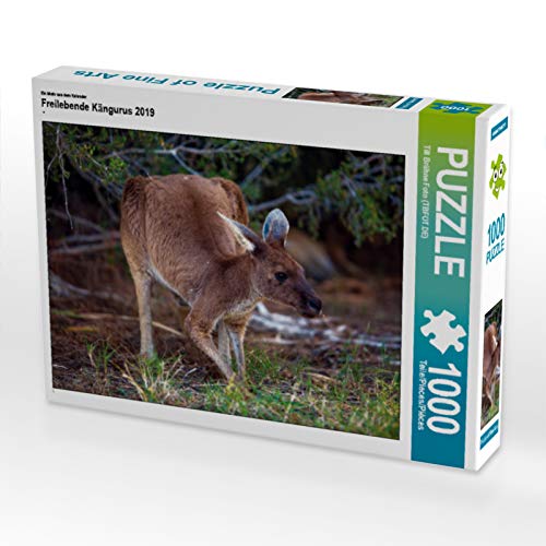 CALVENDO Puzzle Freilebende Kängurus 2019 1000 Teile Lege-Größe 64 x 48 cm Foto-Puzzle Bild von Till Brühne Foto (tbfoto.de) von CALVENDO