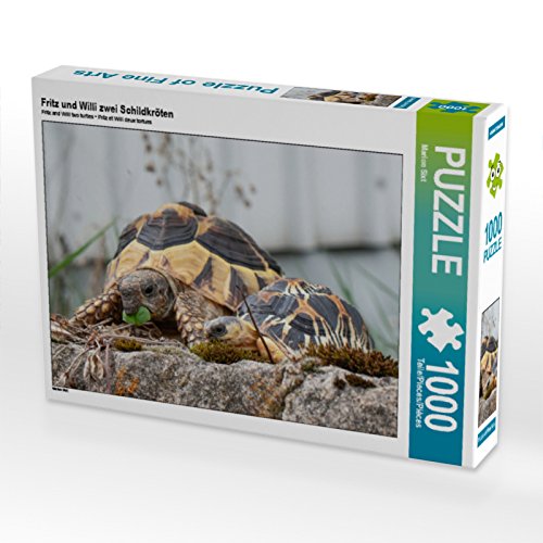 CALVENDO Puzzle Fritz und Willi Zwei Schildkröten 1000 Teile Lege-Größe 64 x 48 cm Foto-Puzzle Bild von Marion Sixt von CALVENDO