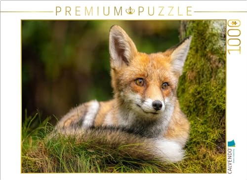 CALVENDO Puzzle Fuchs | 1000 Teile Lege-Größe 64 x 48 cm Foto-Puzzle für glückliche Stunden von CALVENDO