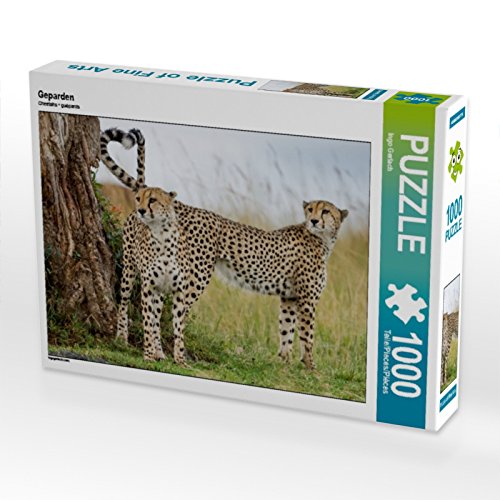 CALVENDO Puzzle Geparden 1000 Teile Puzzle quer | 1000 Teile Lege-Größe 64 x 48 cm Foto-Puzzle für glückliche Stunden CALVENDO Puzzle Geparden 1000 Teile Puzzle quer | 1000 Teile Lege-Größe 64 x 48 cm Foto-Puzzle für glückliche Stunden von CALVENDO