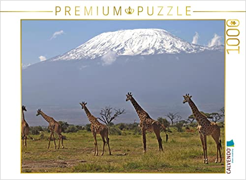 CALVENDO Puzzle Giraffen – Am Kilimanjaro 1000 Teile Puzzle quer | Lege-Größe cm Foto-Puzzle für glückliche Stunden CALVENDO Puzzle Giraffen – Am Kilimanjaro 1000 Teile Puzzle quer | Lege-Größe cm Foto-Puzzle für glückliche Stunden von CALVENDO