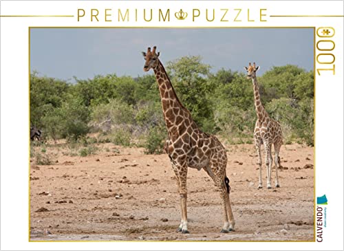 CALVENDO Puzzle Giraffen im Etosha Nationalpark 1000 Teile Puzzle quer | 1000 Teile Lege-Größe 64 x 48 cm Foto-Puzzle für glückliche Stunden CALVENDO Puzzle Giraffen im Etosha Nationalpark 1000 Teile Puzzle quer | 1000 Teile Lege-Größe 64 x 48 cm Foto-Puzzle für glückliche Stunden von CALVENDO