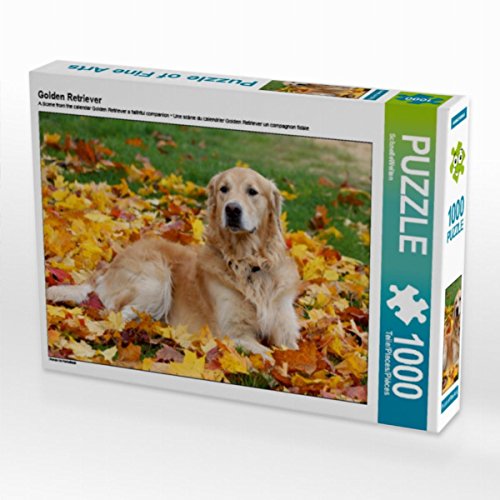 CALVENDO Puzzle Golden Retriever 1000 Teile Lege-Größe 64 x 48 cm Foto-Puzzle Bild von SchnelleWelten von CALVENDO