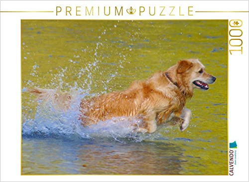 CALVENDO Puzzle Golden Retriever im goldenen Wasser 1000 Teile Puzzle quer | 1000 Teile Lege-Größe 64 x 48 cm Foto-Puzzle für glückliche Stunden CALVENDO Puzzle Golden Retriever im goldenen Wasser 1000 Teile Puzzle quer | 1000 Teile Lege-Größe 64 x 48 cm Foto-Puzzle für glückliche Stunden von CALVENDO