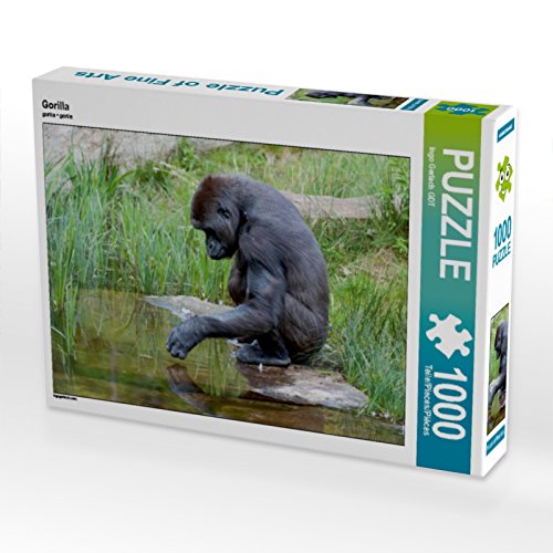 CALVENDO Puzzle Gorilla 1000 Teile Puzzle quer | 1000 Teile Lege-Größe 64 x 48 cm Foto-Puzzle für glückliche Stunden CALVENDO Puzzle Gorilla 1000 Teile Puzzle quer | 1000 Teile Lege-Größe 64 x 48 cm Foto-Puzzle für glückliche Stunden von CALVENDO