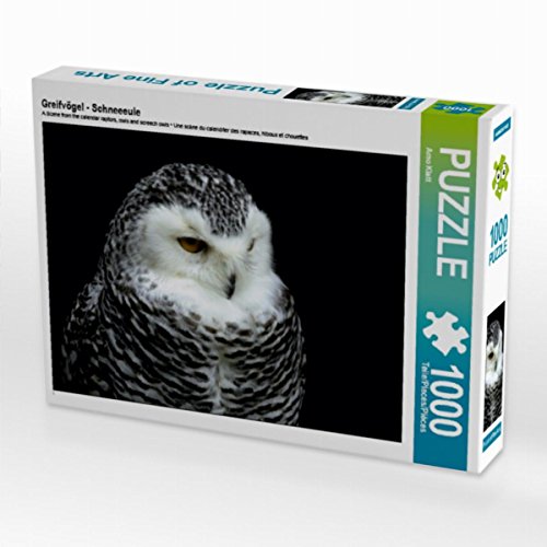 CALVENDO Puzzle Greifvögel - Schneeeule 1000 Teile Puzzle quer | 1000 Teile Lege-Größe 64 x 48 cm Foto-Puzzle für glückliche Stunden von CALVENDO