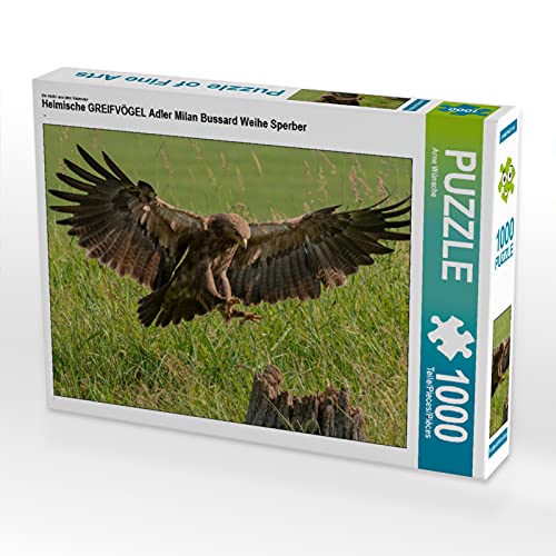 CALVENDO Puzzle Heimische GREIFVÖGEL Adler Milan Bussard Weihe Sperber 1000 Teile Lege-Größe 64 x 48 cm Foto-Puzzle Bild von Arne Wünsche CALVENDO Puzzle Heimische GREIFVÖGEL Adler Milan Bussard Weihe Sperber 1000 Teile Lege-Größe 64 x 48 cm Foto-Puzzle Bild von Arne Wünsche von CALVENDO