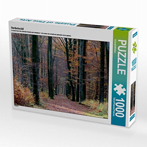 CALVENDO Puzzle Herbstwald 1000 Teile Puzzle quer | 1000 Teile Lege-Größe 64 x 48 cm Foto-Puzzle für glückliche Stunden CALVENDO Puzzle Herbstwald 1000 Teile Puzzle quer | 1000 Teile Lege-Größe 64 x 48 cm Foto-Puzzle für glückliche Stunden von CALVENDO