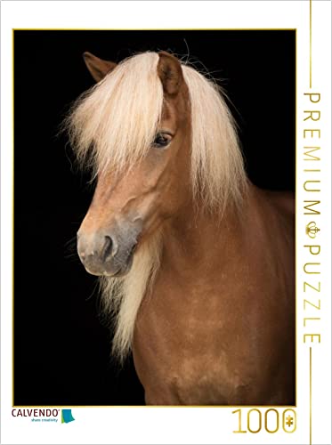 CALVENDO Puzzle Island Pferd 1000 Teile Puzzle hoch | 1000 Teile Lege-Größe 48 x 64 cm Foto-Puzzle für glückliche Stunden CALVENDO Puzzle Island Pferd 1000 Teile Puzzle hoch | 1000 Teile Lege-Größe 48 x 64 cm Foto-Puzzle für glückliche Stunden von CALVENDO