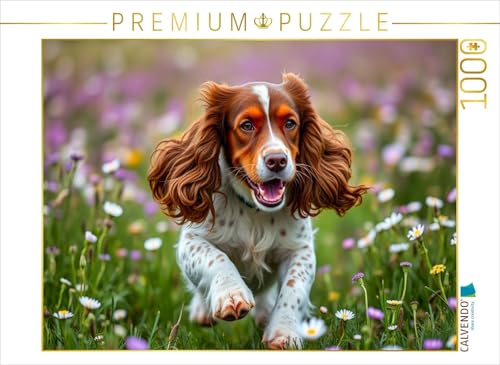CALVENDO Puzzle Junger American Cocker Spaniel | 1000 Teile Lege-Größe 64 x 48 cm Foto-Puzzle für glückliche Stunden CALVENDO Puzzle Junger American Cocker Spaniel | 1000 Teile Lege-Größe 64 x 48 cm Foto-Puzzle für glückliche Stunden von CALVENDO