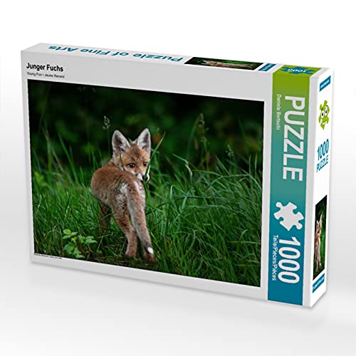 CALVENDO Puzzle Junger Fuchs 1000 Teile Lege-Größe 64 x 48 cm Foto-Puzzle Bild von Daniela Bertschi von CALVENDO