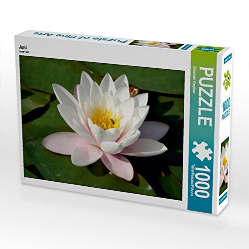 CALVENDO Puzzle Juni 1000 Teile Puzzle quer | 1000 Teile Lege-Größe 64 x 48 cm Foto-Puzzle für glückliche Stunden CALVENDO Puzzle Juni 1000 Teile Puzzle quer | 1000 Teile Lege-Größe 64 x 48 cm Foto-Puzzle für glückliche Stunden von CALVENDO
