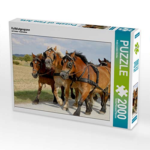 CALVENDO Puzzle Kaltblutgespann 2000 Teile Puzzle quer | 2000 Teile Lege-Größe 90 x 67 cm Foto-Puzzle für glückliche Stunden von CALVENDO