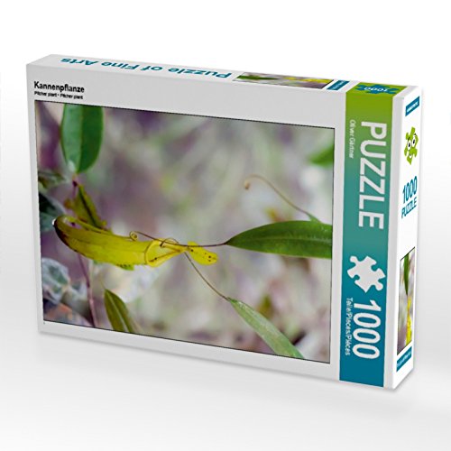 CALVENDO Puzzle Kannenpflanze 1000 Teile Puzzle hoch | 1000 Teile Lege-Größe 48 x 64 cm Foto-Puzzle für glückliche Stunden CALVENDO Puzzle Kannenpflanze 1000 Teile Puzzle hoch | 1000 Teile Lege-Größe 48 x 64 cm Foto-Puzzle für glückliche Stunden von CALVENDO