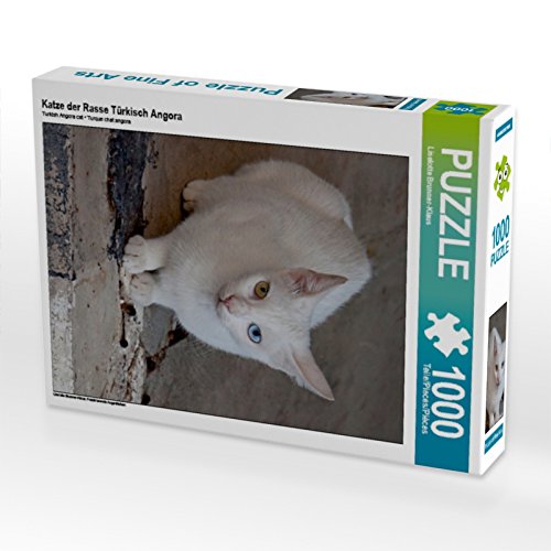 CALVENDO Puzzle Katze der Rasse Türkisch Angora 1000 Teile Puzzle hoch | 1000 Teile Lege-Größe 48 x 64 cm Foto-Puzzle für glückliche Stunden CALVENDO Puzzle Katze der Rasse Türkisch Angora 1000 Teile Puzzle hoch | 1000 Teile Lege-Größe 48 x 64 cm Foto-Puzzle für glückliche Stunden von CALVENDO