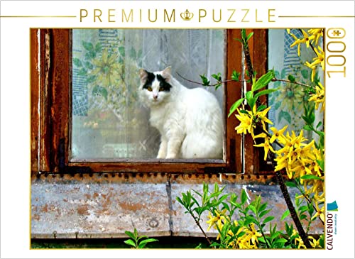 CALVENDO Puzzle Katze im Ostseebad Cranz in Ostpreußen 1000 Teile Lege-Größe 64 x 48 cm Foto-Puzzle Bild von Henning von Loewis of Menar CALVENDO Puzzle Katze im Ostseebad Cranz in Ostpreußen 1000 Teile Lege-Größe 64 x 48 cm Foto-Puzzle Bild von Henning von Loewis of Menar von CALVENDO