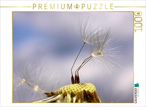 CALVENDO Puzzle Kleine Fallschirme 1000 Teile Puzzle quer | Lege-Größe cm Foto-Puzzle für glückliche Stunden CALVENDO Puzzle Kleine Fallschirme 1000 Teile Puzzle quer | Lege-Größe cm Foto-Puzzle für glückliche Stunden von CALVENDO