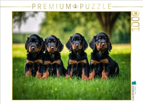 CALVENDO Puzzle Knuffige Gordon Setter Welpen | 1000 Teile Lege-Größe 64 x 48 cm Foto-Puzzle für glückliche Stunden von CALVENDO