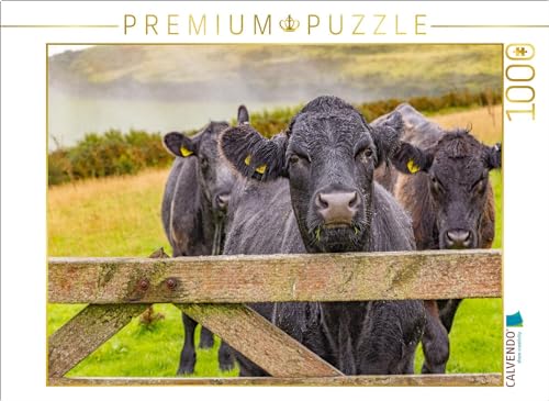 CALVENDO Puzzle Kühe im Exmoor Nationalpark | 1000 Teile Lege-Größe 64 x 48 cm Foto-Puzzle für glückliche Stunden von CALVENDO