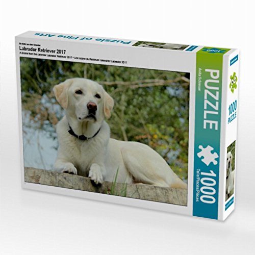 CALVENDO Puzzle Labrador Retriever 2017 1000 Teile Lege-Größe 64 x 48 cm Foto-Puzzle Bild von Anita Schreuer CALVENDO Puzzle Labrador Retriever 2017 1000 Teile Lege-Größe 64 x 48 cm Foto-Puzzle Bild von Anita Schreuer von CALVENDO