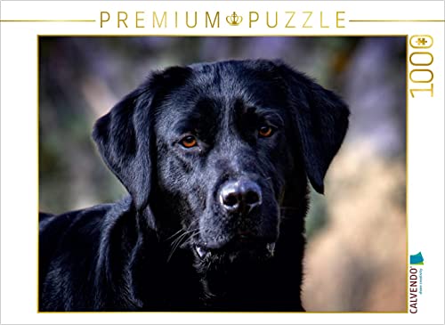 CALVENDO Puzzle Labrador Retriever - Treue Begleiter 1000 Teile Puzzle quer | 1000 Teile Lege-Größe 64 x 48 cm Foto-Puzzle für glückliche Stunden von CALVENDO