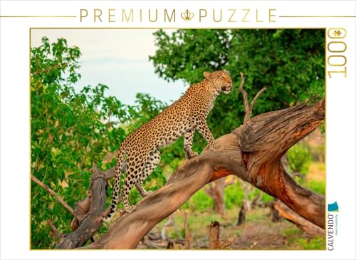 CALVENDO Puzzle Leopard auf der Jagd 1000 Teile Lege-Größe 64 x 48 cm Foto-Puzzle Bild von wkbilder CALVENDO Puzzle Leopard auf der Jagd 1000 Teile Lege-Größe 64 x 48 cm Foto-Puzzle Bild von wkbilder von CALVENDO