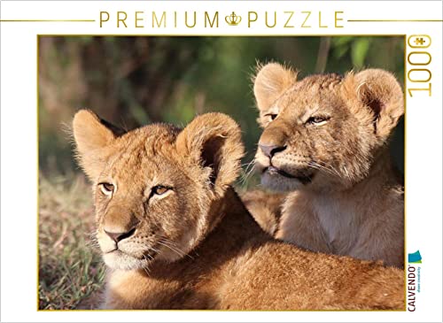 CALVENDO Puzzle Löwen – Kinderstube 1000 Teile Puzzle quer | 1000 Teile Lege-Größe 64 x 48 cm Foto-Puzzle für glückliche Stunden CALVENDO Puzzle Löwen – Kinderstube 1000 Teile Puzzle quer | 1000 Teile Lege-Größe 64 x 48 cm Foto-Puzzle für glückliche Stunden von CALVENDO