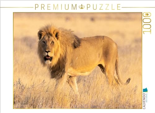 CALVENDO Puzzle Löwenmännchen im Etosha Nationalpark | 1000 Teile Lege-Größe 64 x 48 cm Foto-Puzzle für glückliche Stunden von CALVENDO