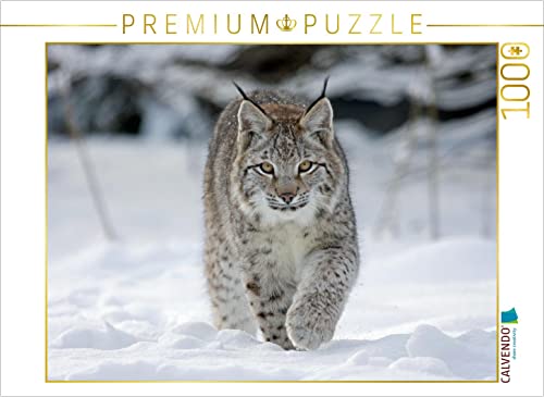 CALVENDO Puzzle Luchs läuft durch Schnee 1000 Teile Lege-Größe 64 x 48 cm Foto-Puzzle Bild von Wilfried Martin von CALVENDO