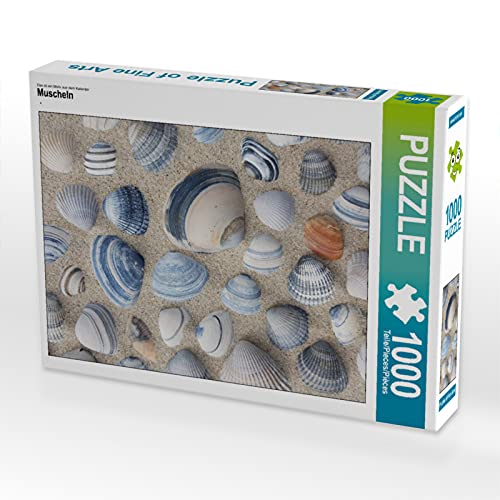 CALVENDO Puzzle Muscheln 1000 Teile Puzzle quer | 1000 Teile Lege-Größe 64 x 48 cm Foto-Puzzle für glückliche Stunden von CALVENDO