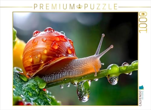 CALVENDO Puzzle Naturschauspiel - kleine Schnecke auf Tautropen | 1000 Teile Lege-Größe 64 x 48 cm Foto-Puzzle für glückliche Stunden von CALVENDO