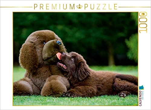 CALVENDO Puzzle Neufundländer 1000 Teile Puzzle quer | Lege-Größe cm Foto-Puzzle für glückliche Stunden CALVENDO Puzzle Neufundländer 1000 Teile Puzzle quer | Lege-Größe cm Foto-Puzzle für glückliche Stunden von CALVENDO