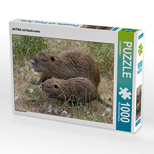 CALVENDO Puzzle Nutria mit Nachwuchs 1000 Teile Lege-Größe 64 x 48 cm Foto-Puzzle Bild von SchnelleWelten von CALVENDO