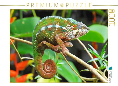 CALVENDO Puzzle Panther-Chamäleon in leuchtenden Farben | 1000 Teile Lege-Größe 64 x 48 cm Foto-Puzzle für glückliche Stunden von CALVENDO