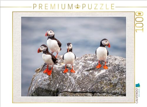 CALVENDO Puzzle Papageientaucher in ihrer natürlichen Umgebung | 1000 Teile Lege-Größe 64 x 48 cm Foto-Puzzle für glückliche Stunden von CALVENDO