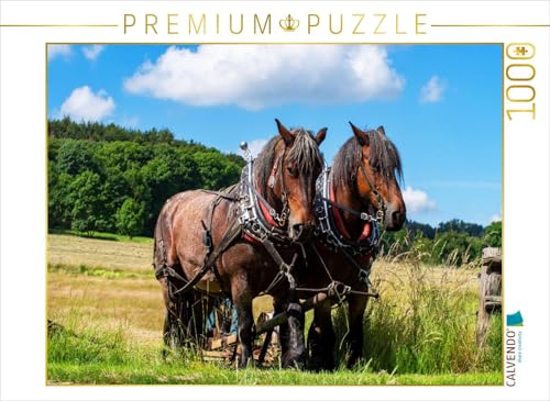 CALVENDO Puzzle Pferde Gespann belgisches Kaltblut | 1000 Teile Lege-Größe 64 x 48 cm Foto-Puzzle für glückliche Stunden CALVENDO Puzzle Pferde Gespann belgisches Kaltblut | 1000 Teile Lege-Größe 64 x 48 cm Foto-Puzzle für glückliche Stunden von CALVENDO