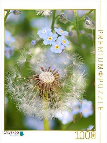 CALVENDO Puzzle Pusteblume mit Vergissmeinnicht 1000 Teile Lege-Größe 48 x 64 cm Foto-Puzzle Bild von Gisela Kruse von CALVENDO