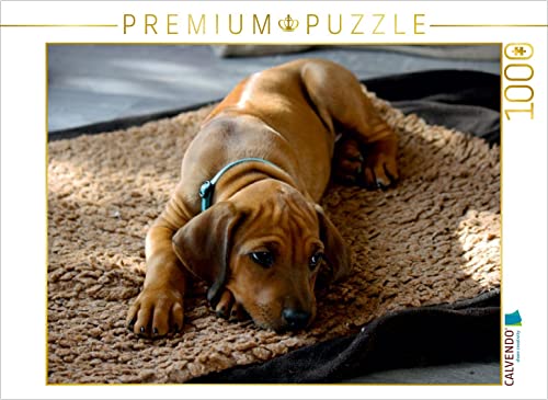 CALVENDO Puzzle Rhodesian Ridgeback Hündin 1000 Teile Lege-Größe 64 x 48 cm Foto-Puzzle Bild von Dagmar Behrens von CALVENDO