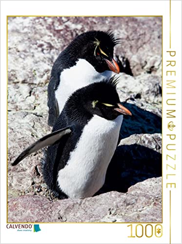CALVENDO Puzzle Rockhopper Pinguine, Isla de los Pingüinos 1000 Teile Puzzle hoch | 1000 Teile Lege-Größe 48 x 64 cm Foto-Puzzle für glückliche Stunden CALVENDO Puzzle Rockhopper Pinguine, Isla de los Pingüinos 1000 Teile Puzzle hoch | 1000 Teile Lege-Größe 48 x 64 cm Foto-Puzzle für glückliche Stunden von CALVENDO