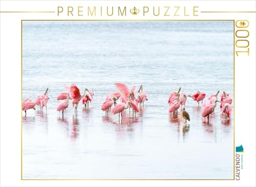 CALVENDO Puzzle Rosalöffler in Florida | 1000 Teile Lege-Größe 64 x 48 cm Foto-Puzzle für glückliche Stunden CALVENDO Puzzle Rosalöffler in Florida | 1000 Teile Lege-Größe 64 x 48 cm Foto-Puzzle für glückliche Stunden von CALVENDO