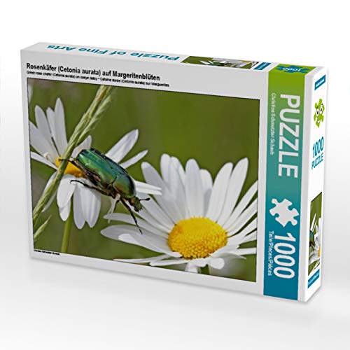 CALVENDO Puzzle Rosenkäfer (Cetonia aurata) auf Margeritenblüten 1000 Teile Puzzle quer | 1000 Teile Lege-Größe 64 x 48 cm Foto-Puzzle für glückliche Stunden von CALVENDO