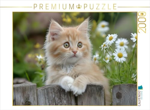 CALVENDO Puzzle Roter Kater im Garten | 2000 Teile Lege-Größe 90 x 67 cm Foto-Puzzle für glückliche Stunden von CALVENDO