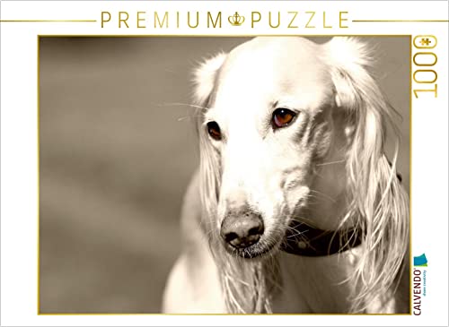 CALVENDO Puzzle Saluki 1000 Teile Puzzle quer | 1000 Teile Lege-Größe 64 x 48 cm Foto-Puzzle für glückliche Stunden von CALVENDO